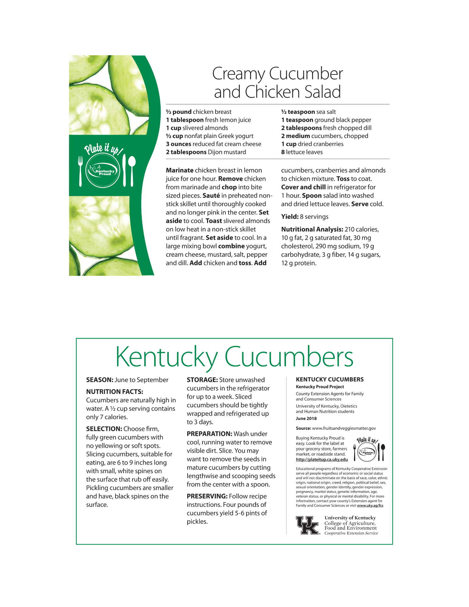 Creamy Cucumber & Chicken Salad Recipe
