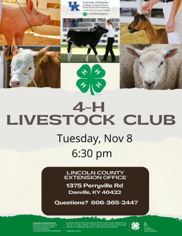 livestock clu flyer