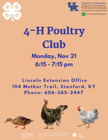 poultry club flyer