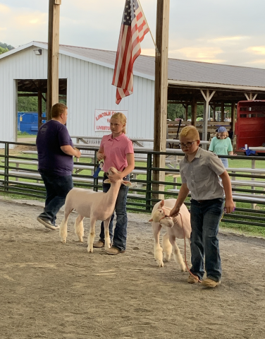 county fair